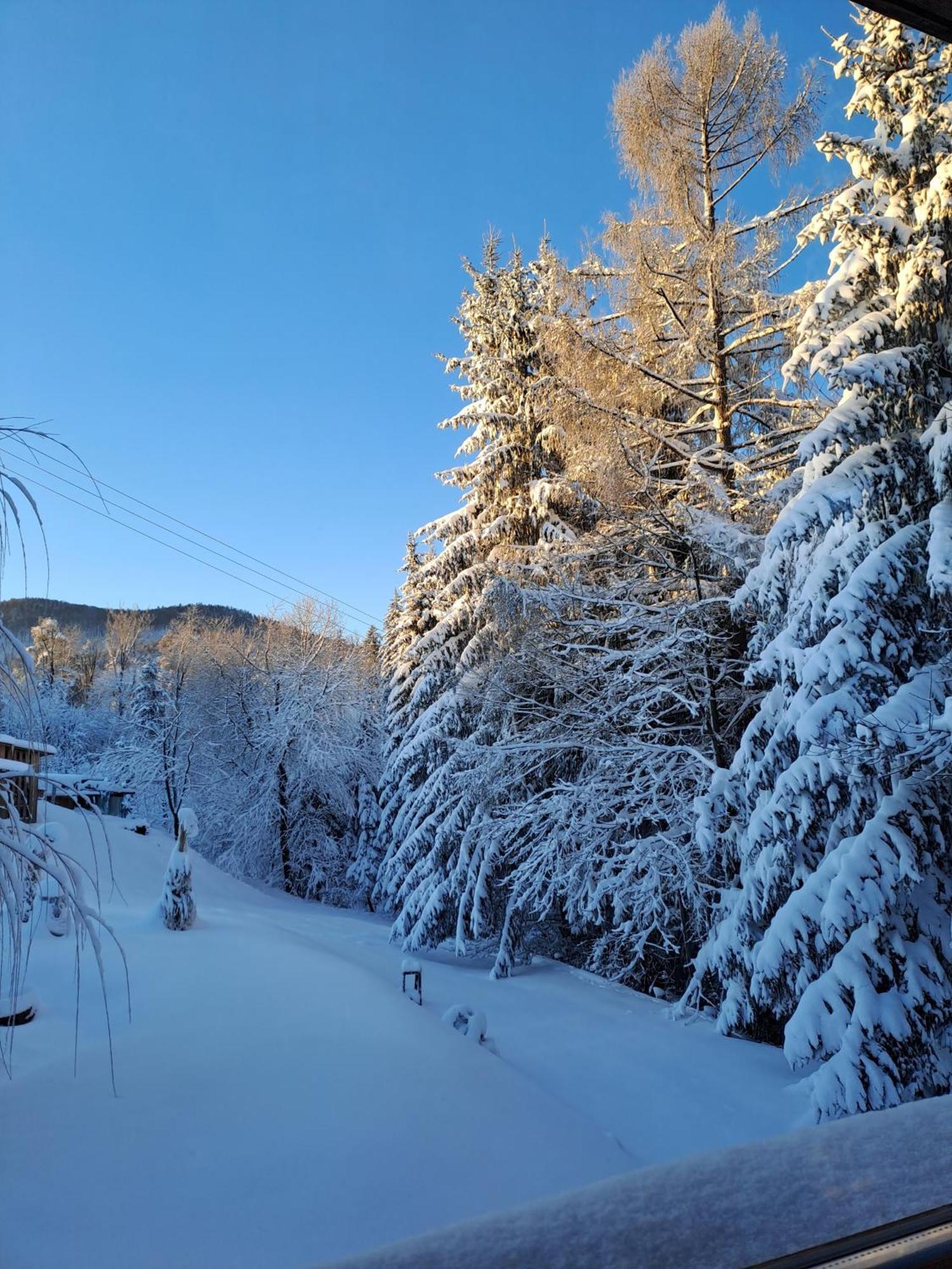 Вілла Family House Мозирє Екстер'єр фото